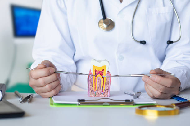 Best Broken or Chipped Tooth Repair in Plum, PA
